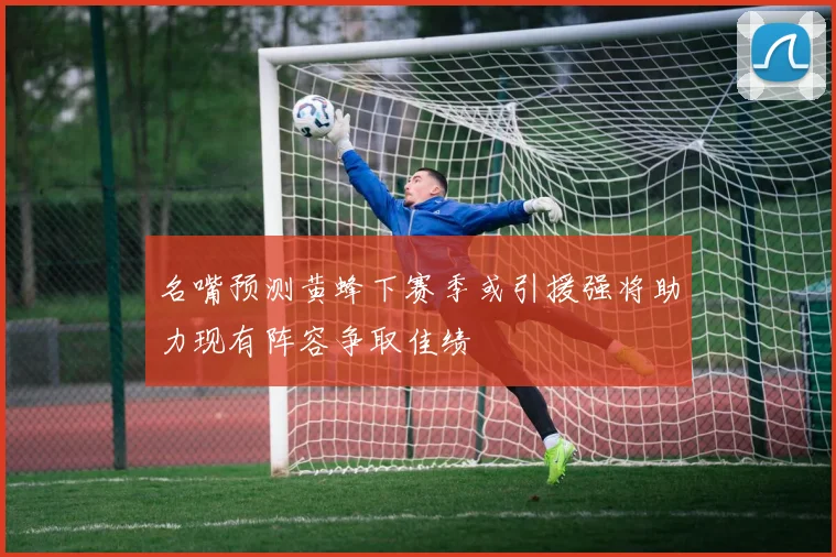 名嘴预测黄蜂下赛季或引援强将助力现有阵容争取佳绩