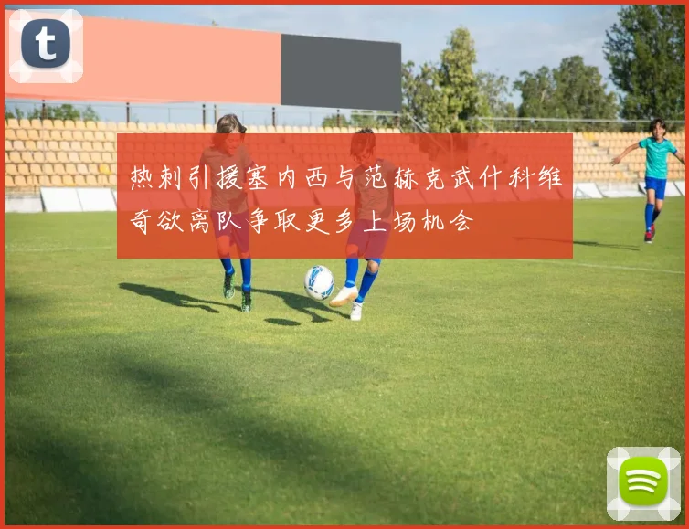 热刺引援塞内西与范赫克武什科维奇欲离队争取更多上场机会